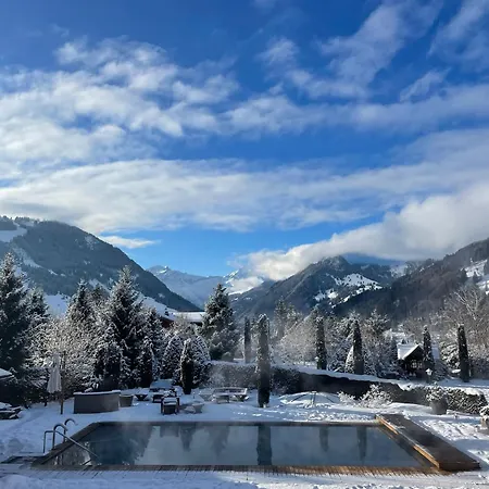 Luxurious Alpine Flat With Amenities Апартаменты Гштад