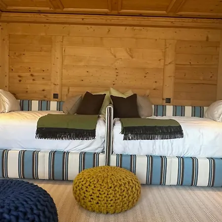 Apartment Luxurious Alpine Flat With Amenities Gstaad