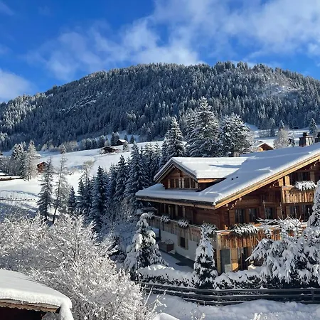 Luxurious Alpine Flat With Amenities * Гштад